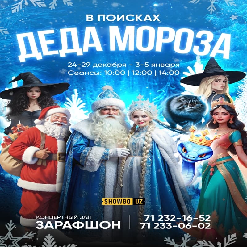 «В поисках Деда Мороза»  в Вт, 24 декабря 2024 года 14:00