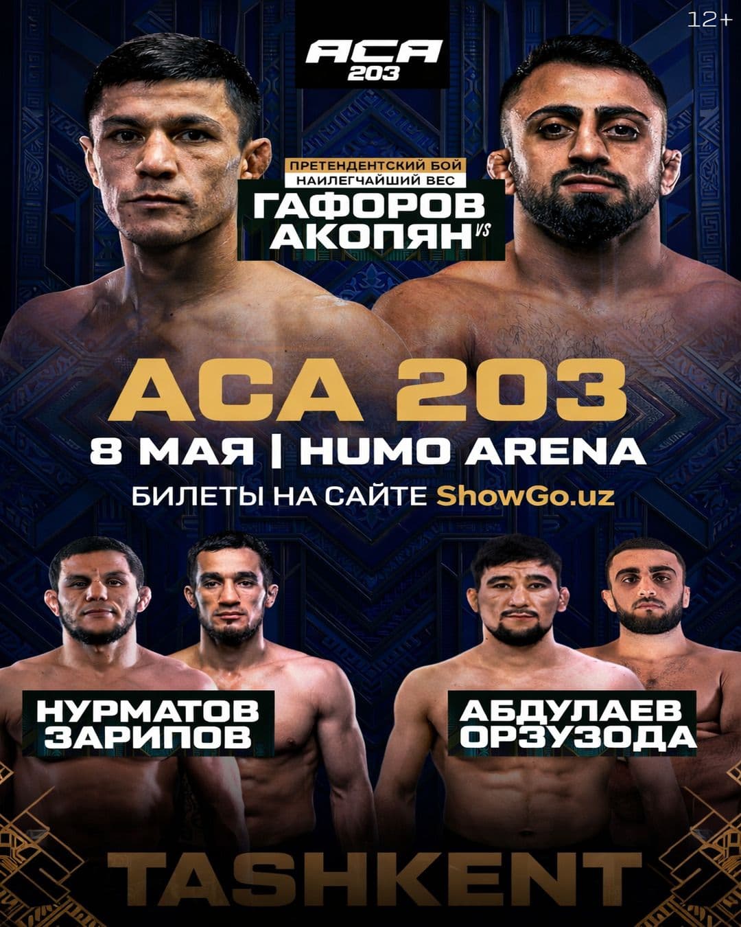 АСА 203